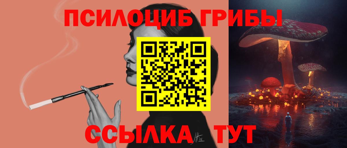 Псилоцибиновые грибы мицелий Ртищево